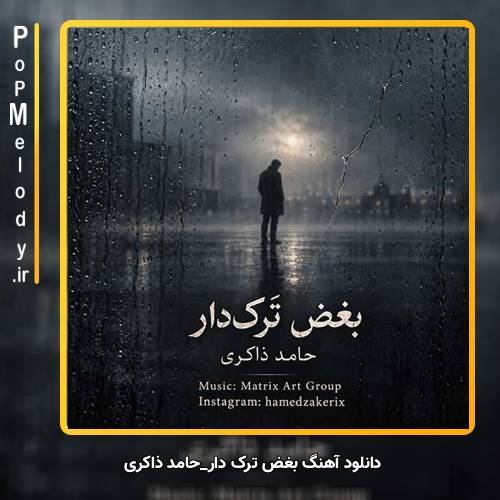 دانلود آهنگ حامد ذاکری بغض ترک دار